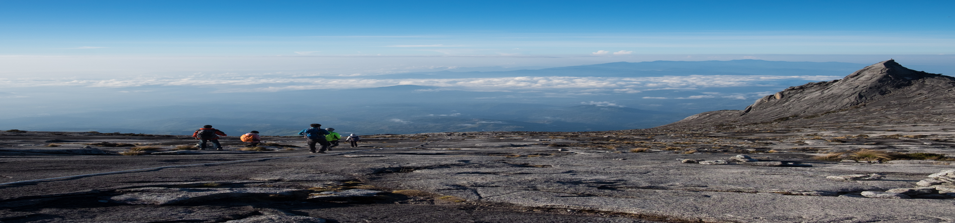 About Us_1620634537.png